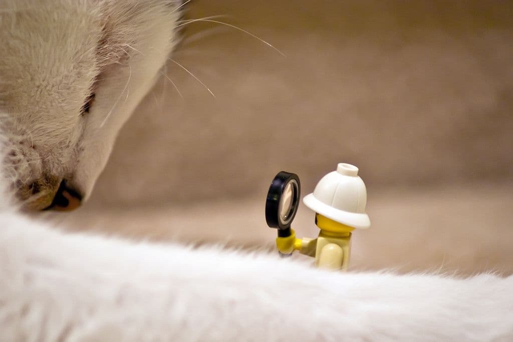 A white cat peering down at a LEGO detective figure holding a magnifying glass
